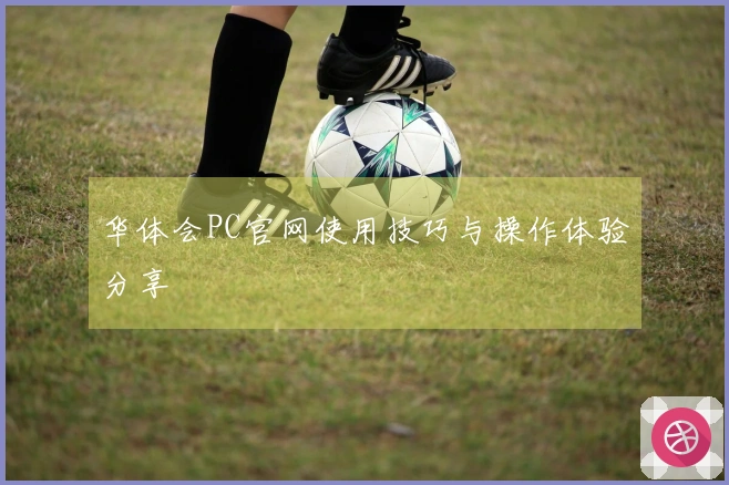 华体会PC官网使用技巧与操作体验分享